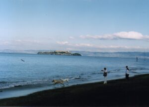 サンフランシスコ湾